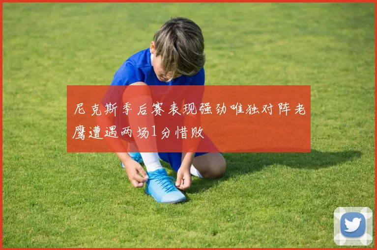 尼克斯季后赛表现强劲唯独对阵老鹰遭遇两场1分惜败