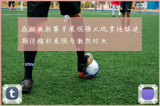 森林狼新赛季展现强大观赏性球迷期待精彩表现与激烈对决