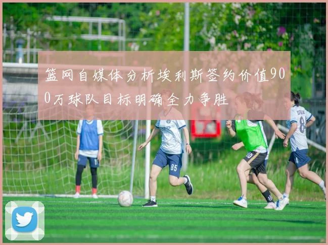 篮网自媒体分析埃利斯签约价值900万球队目标明确全力争胜