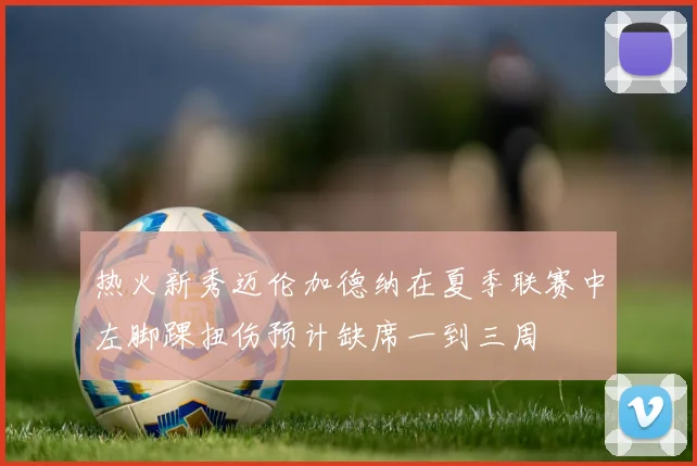 热火新秀迈伦加德纳在夏季联赛中左脚踝扭伤预计缺席一到三周