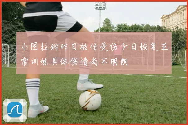 小图拉姆昨日被传受伤今日恢复正常训练具体伤情尚不明朗